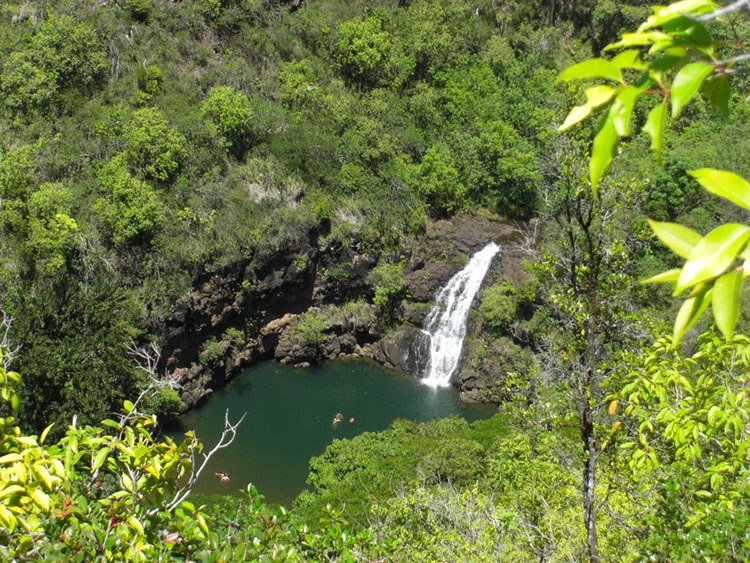 Waimea-Valley-Falls - Ka Wai Ola