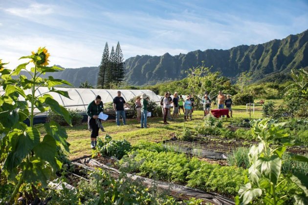Photo: Industry experts, farmers and fellow students provide feedback on a participant’s plot
