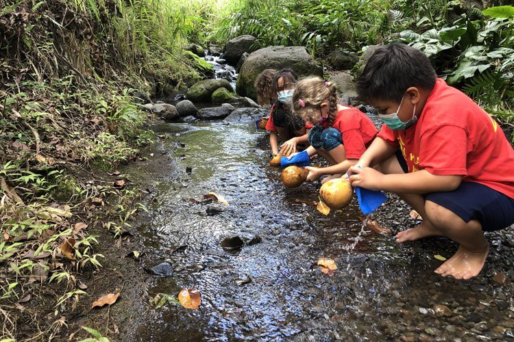 Photo: kindergarten students wash their dried ipu in the stream of Wailuku