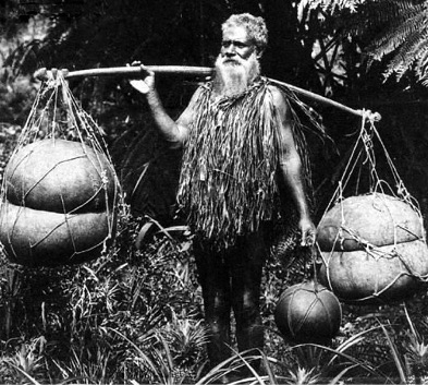 Photo: A man uses an ʻauamo to carry two large ʻumeke