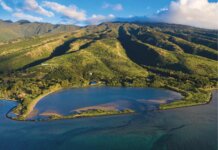 Giving Kūpeke Back to Itself Photo: Aerial view of Kūpeke