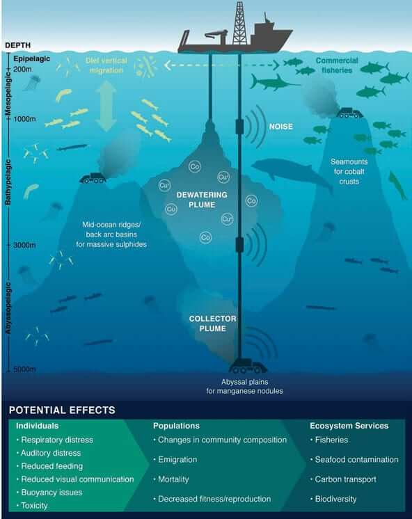 Deep-Sea Mining: Exploiting our Oceans in the Name of Clean Energy