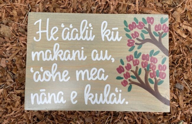 He&#699;a&#699;alii k&#363; makani au, a&#699;ohe mea n&#257;na e kula&#699;i