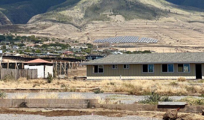 Photo: New homes under construction in Lahaina