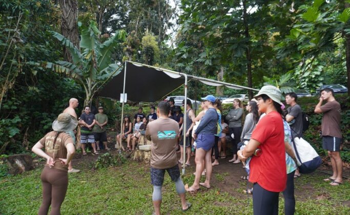 Photo: Volunteers learn about Kalo farming
