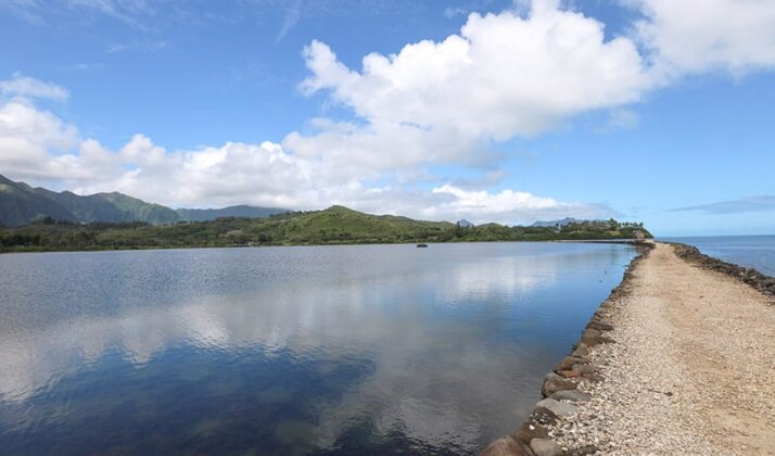 Photo: He'eia Fishpond
