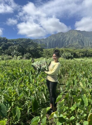 Photo: Shellcie holds an armful of lau