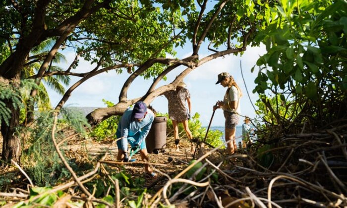 Photo: Volunteers clear marine debris from the beach