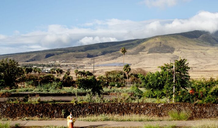 Photo: Vacant lots in Lahaina