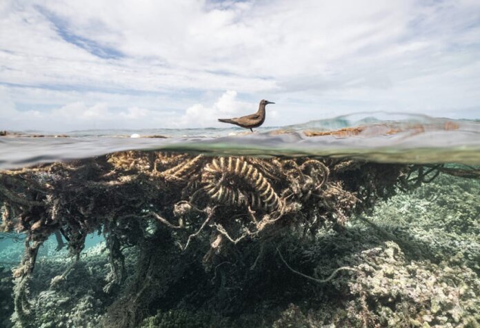 Discarded-Commercial-Fishing-Nets Photo: Fishing net covers a shallow reef