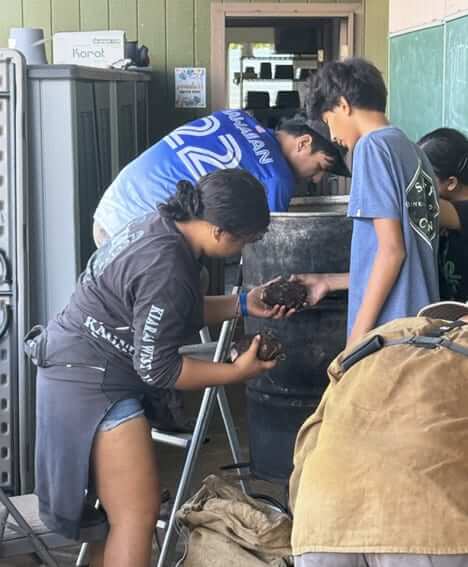 Photo: Haumāna work during Hale Wili, the school's kalo processing day