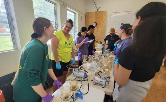 Photo: NSF Research Experience for Undergraduates: Environmental Biology for Pacific Islanders