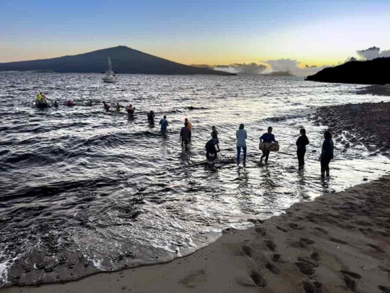 Photo: Volunteers help clear invasives, grow native plants, open access trails, establish base camps, monitor cultural sites, conduct spiritual ceremonies, and learn the importance of kilo
