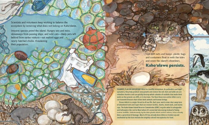 Illustration from Kahoʻolawe showing debris and invasive species