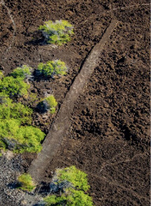 Photo: Aerial view of the nearly pristine Hōlua Āhole