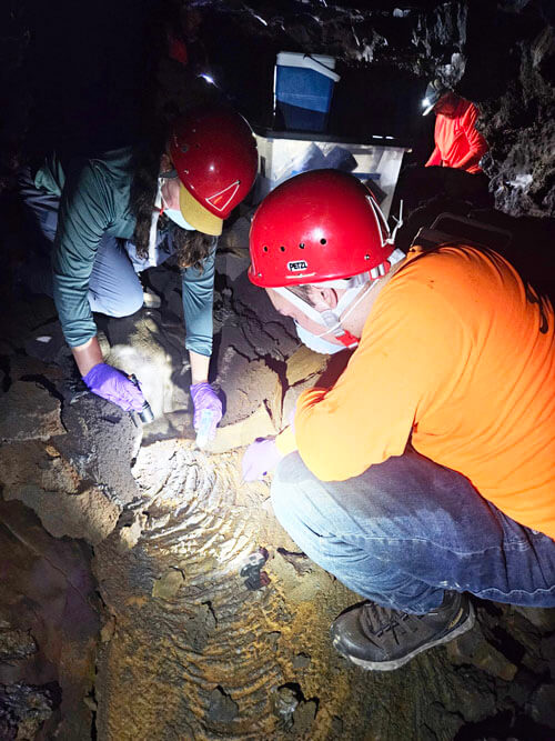 Photo: SHPD staff collect the sub-fossil bones of a tiny unidentified bird