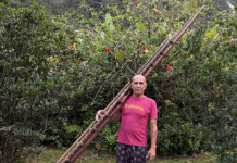 Ka Hoʻōla ʻana i ko Hawaiʻi Mea Pāʻani Wiwoʻole: Ka Heʻe Hōlua