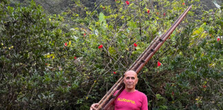Reviving Hawaiʻi’s Extreme Sport: Heʻe Hōlua
