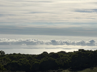 Na-Manu-Hoa-Hakalau Photo: Kū i ke ʻaki, lulu i ke kaupoku