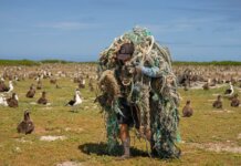 Commercial Fishing is Not a Cultural Practice Photo: A team member of the Papahānaumokuākea Marine Debris Project carries a massive ball of fishing gear