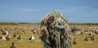 Commercial Fishing is Not a Cultural Practice Photo: A team member of the Papahānaumokuākea Marine Debris Project carries a massive ball of fishing gear