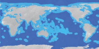Imperfect High Seas Treaty is Still a Victory for the Ocean Illustration showing areas designated as the high seas