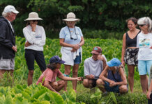 Waipā: From Resistance to Regeneration Photo: Waipa Tours