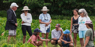 Waipā: From Resistance to Regeneration Photo: Waipa Tours