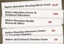 Budgeting Erasure: Defending Our Ea and Political Status List of Native Hawaiian Grants and Initiatives Eliminated