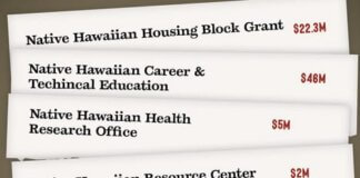 Budgeting Erasure: Defending Our Ea and Political Status List of Native Hawaiian Grants and Initiatives Eliminated