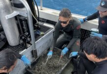 By Restoring Our Reefs We Restore Ourselves Photo: The KCR team mixes concrete that will be used on the next restoration dive
