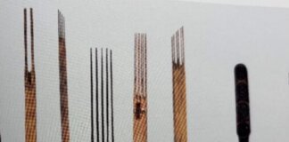 Precious Hawaiian Treasures in London 3 Photo: Eia nā lapa ma ka hema a me nā kāpala ma ka ʻākau