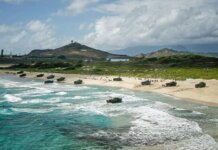 An Ancestor Under Fire: The Cultural and Environmental Impact of RIMPAC Photo: Amphibious landing exercise at MCBH during RIMPAC 2018 PC USMC