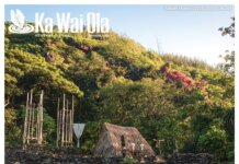 Ka Wai Ola | Vol. 43 No. 8 | August 2026 Ka Wai Ola - August 2026 issue Cover
