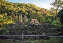 Waimea Valley: A Cultural Treasure of the Highest Order Photo: Waimea Valley
