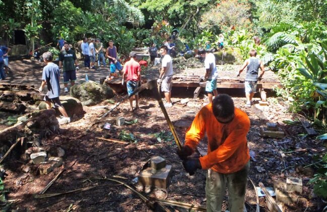 Photo: Volunteers work to restore the amphitheater at Waimea Valley