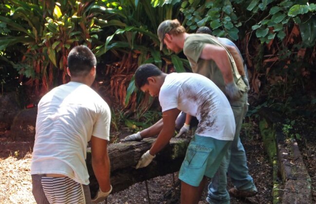 Photo: Volunteers work to restore the amphitheater at Waimea Valley