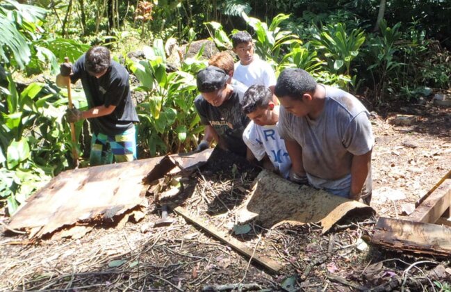 Photo: Volunteers work to restore the amphitheater at Waimea Valley