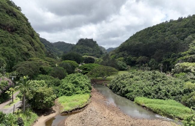 Photo: Waimea Valley