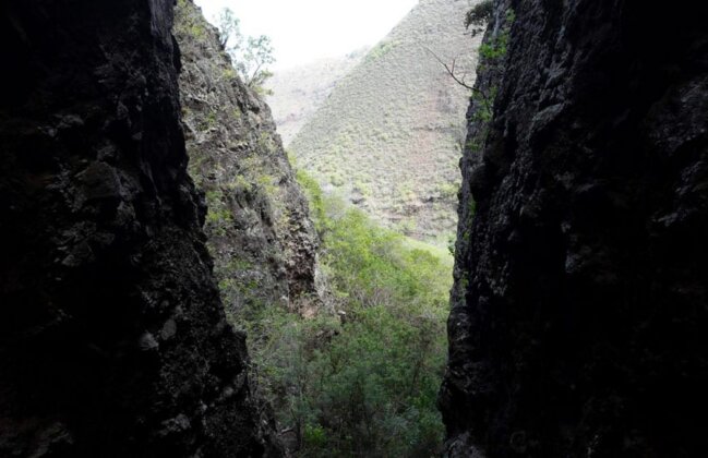 Photo: Cliffs with Schiedea Menziesii