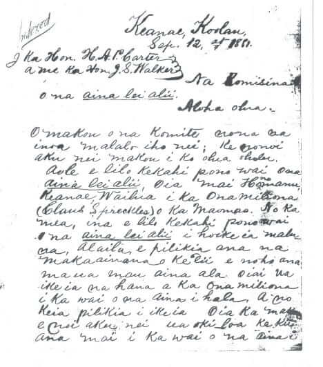 Scan of 1881 crown lands water rights petition