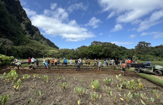Photo: Hui Makaʻāinana o Makana hosted the 2024 E Alu Pū annual gathering in Hāʻena