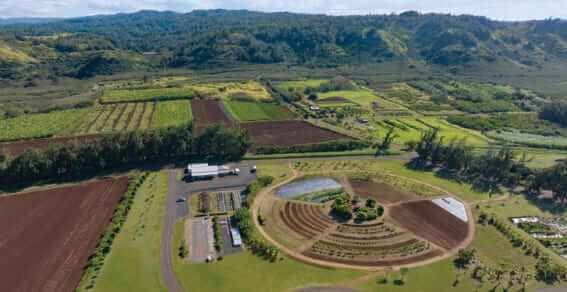 Photo: Aerial View of Turtle Bay Resort