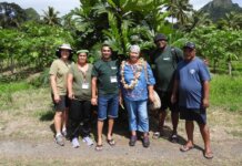 ʻUlu Celebration Cultivates a More Resilient Food Future Photo: Visitors gather beside an ʻulu tree in Tonga