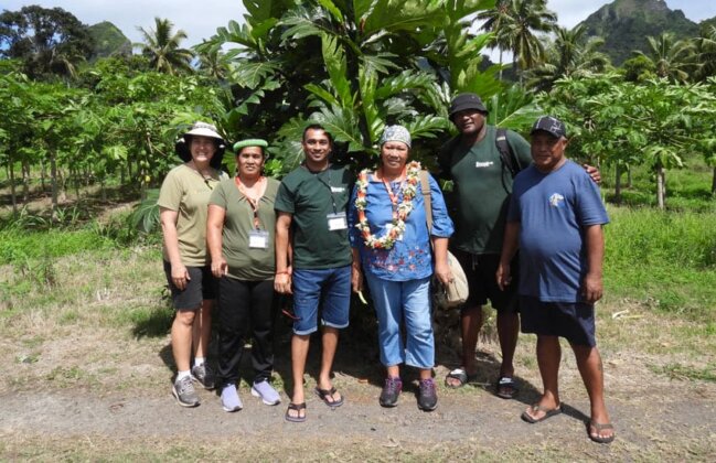 Photo: Visitors gather beside an ʻulu tree in Tonga